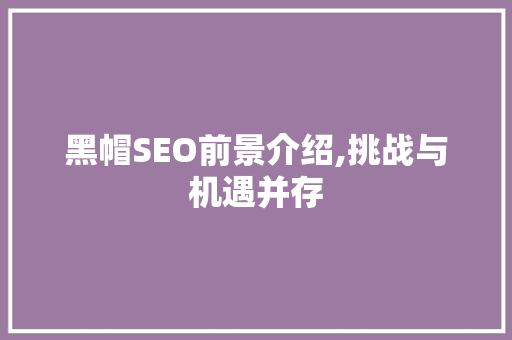 黑帽SEO前景介绍,挑战与机遇并存