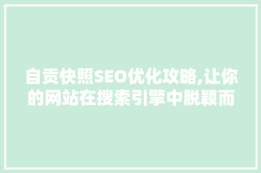 自贡快照SEO优化攻略,让你的网站在搜索引擎中脱颖而出