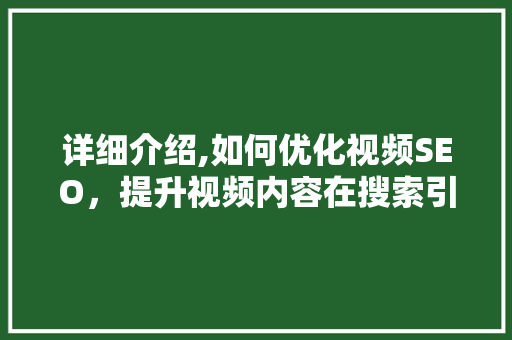 详细介绍,如何优化视频SEO，提升视频内容在搜索引擎中的排名  第1张