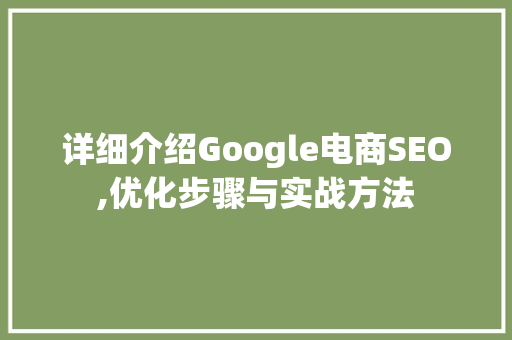 详细介绍Google电商SEO,优化步骤与实战方法