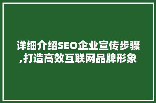 详细介绍SEO企业宣传步骤,打造高效互联网品牌形象