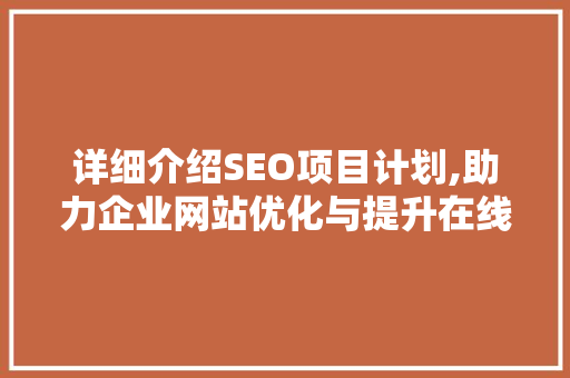 详细介绍SEO项目计划,助力企业网站优化与提升在线竞争力