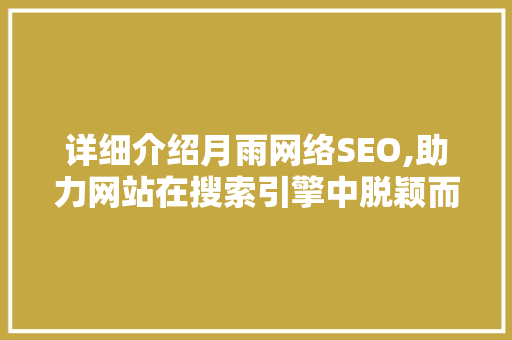 详细介绍月雨网络SEO,助力网站在搜索引擎中脱颖而出
