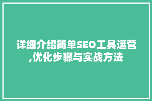 详细介绍简单SEO工具运营,优化步骤与实战方法