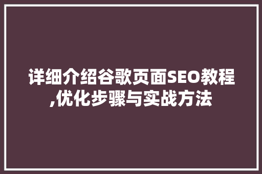 详细介绍谷歌页面SEO教程,优化步骤与实战方法