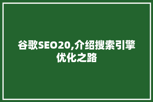 谷歌SEO20,介绍搜索引擎优化之路