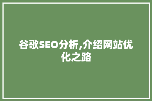 谷歌SEO分析,介绍网站优化之路