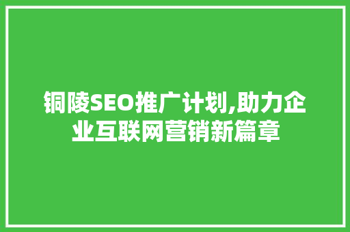 铜陵SEO推广计划,助力企业互联网营销新篇章
