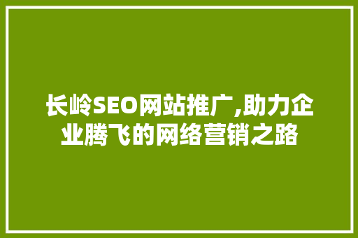 长岭SEO网站推广,助力企业腾飞的网络营销之路