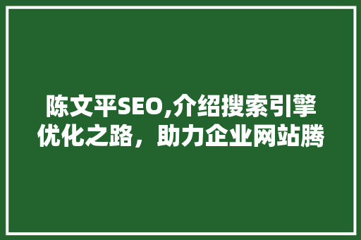 陈文平SEO,介绍搜索引擎优化之路，助力企业网站腾飞