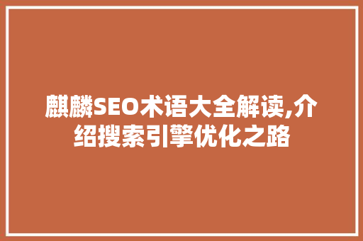 麒麟SEO术语大全解读,介绍搜索引擎优化之路