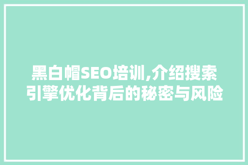黑白帽SEO培训,介绍搜索引擎优化背后的秘密与风险