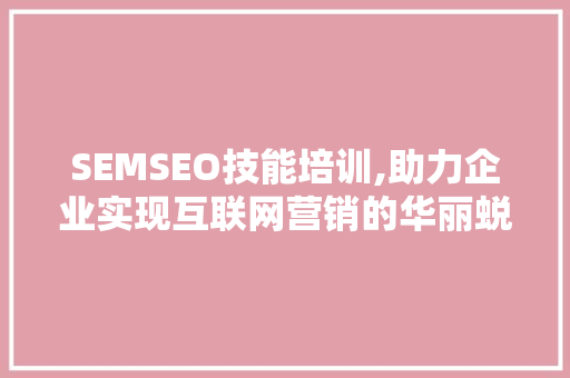 SEMSEO技能培训,助力企业实现互联网营销的华丽蜕变  第1张