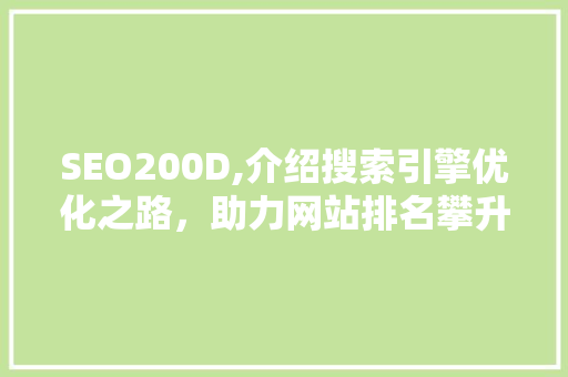 SEO200D,介绍搜索引擎优化之路，助力网站排名攀升  第1张