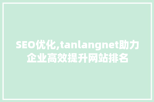 SEO优化,tanlangnet助力企业高效提升网站排名  第1张