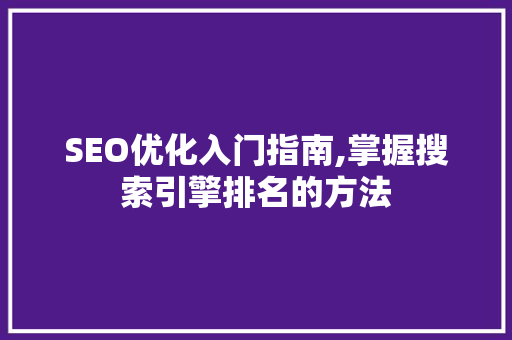 SEO优化入门指南,掌握搜索引擎排名的方法