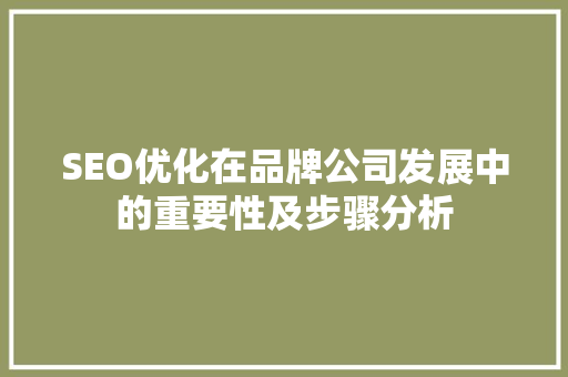 SEO优化在品牌公司发展中的重要性及步骤分析  第1张