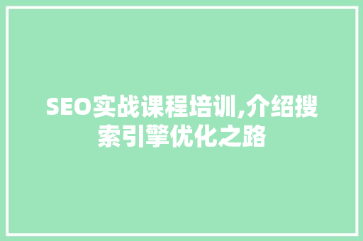 SEO实战课程培训,介绍搜索引擎优化之路