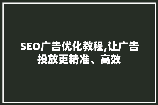 SEO广告优化教程,让广告投放更精准、高效