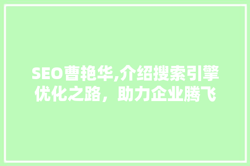SEO曹艳华,介绍搜索引擎优化之路，助力企业腾飞