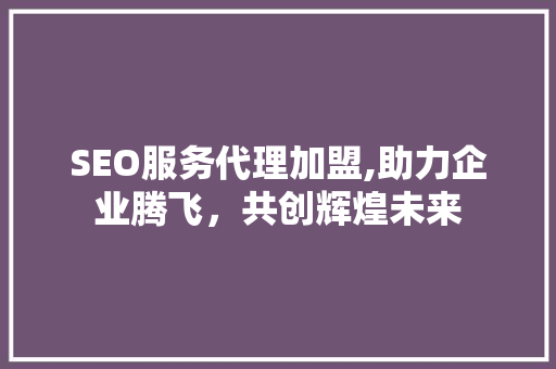 SEO服务代理加盟,助力企业腾飞，共创辉煌未来