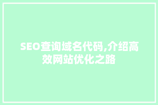 SEO查询域名代码,介绍高效网站优化之路