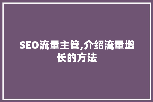 SEO流量主管,介绍流量增长的方法
