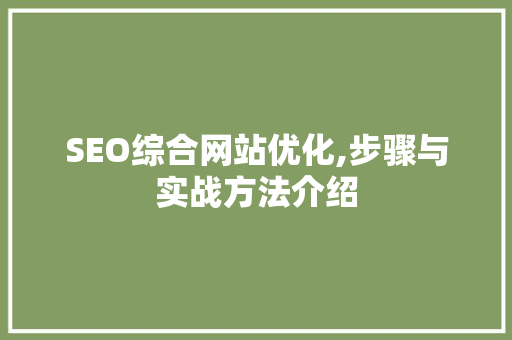 SEO综合网站优化,步骤与实战方法介绍