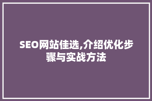 SEO网站佳选,介绍优化步骤与实战方法