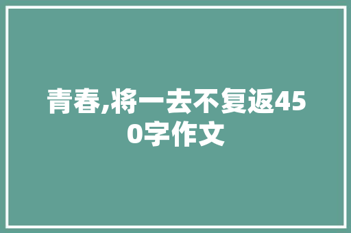 SEO网站搜索测试,介绍优化步骤与优化效果