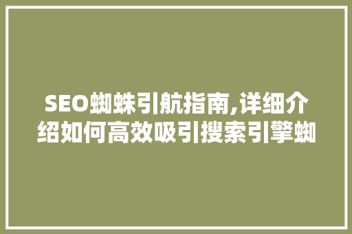SEO蜘蛛引航指南,详细介绍如何高效吸引搜索引擎蜘蛛