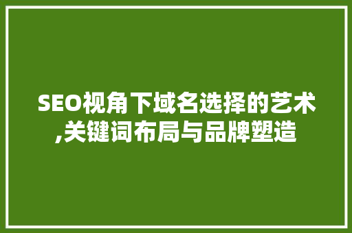 SEO视角下域名选择的艺术,关键词布局与品牌塑造