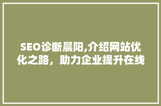 SEO诊断晨阳,介绍网站优化之路，助力企业提升在线竞争力
