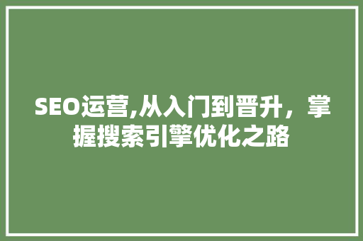 SEO运营,从入门到晋升，掌握搜索引擎优化之路