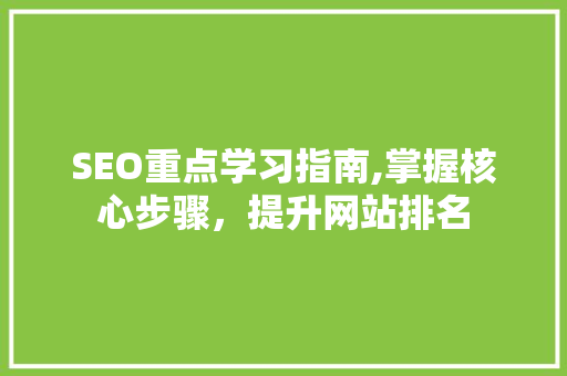 SEO重点学习指南,掌握核心步骤，提升网站排名