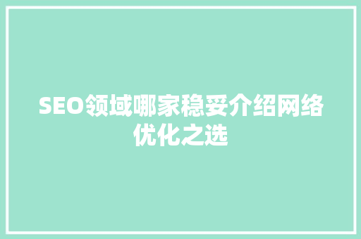 SEO领域哪家稳妥介绍网络优化之选