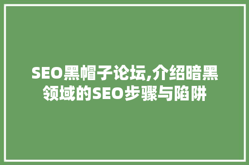 SEO黑帽子论坛,介绍暗黑领域的SEO步骤与陷阱