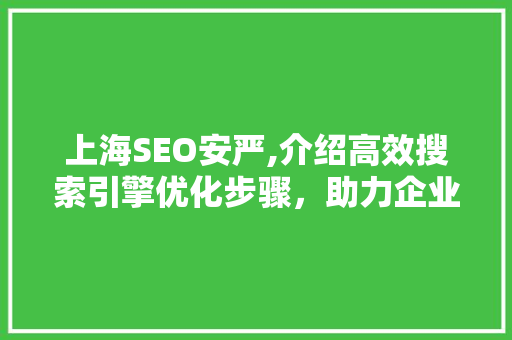 上海SEO安严,介绍高效搜索引擎优化步骤，助力企业提升在线竞争力