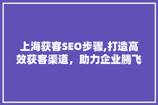 上海获客SEO步骤,打造高效获客渠道，助力企业腾飞