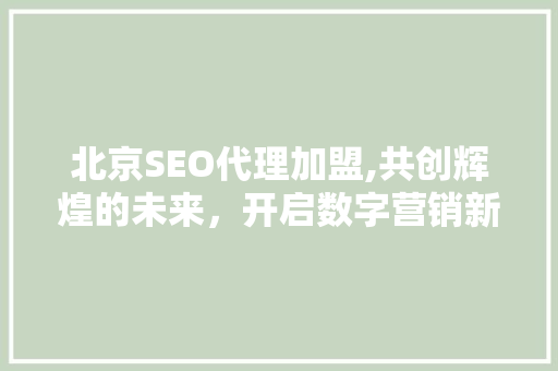 北京SEO代理加盟,共创辉煌的未来，开启数字营销新篇章
