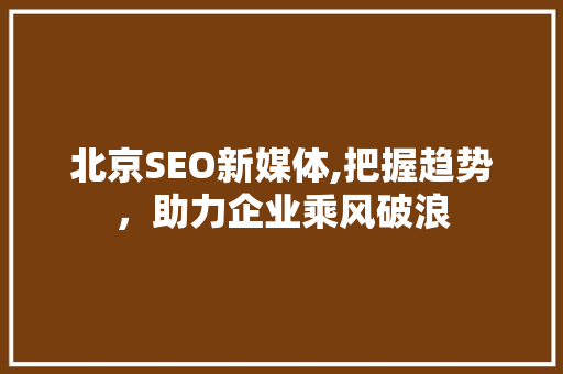 北京SEO新媒体,把握趋势，助力企业乘风破浪