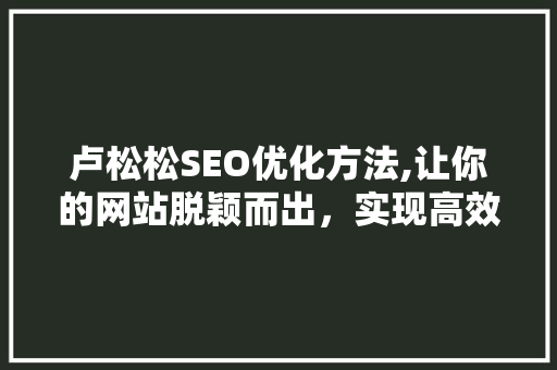 卢松松SEO优化方法,让你的网站脱颖而出，实现高效排名