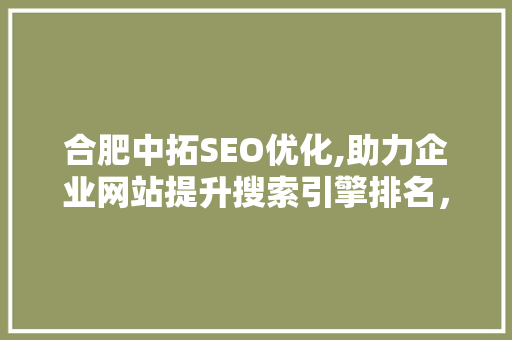 合肥中拓SEO优化,助力企业网站提升搜索引擎排名，抢占市场先机