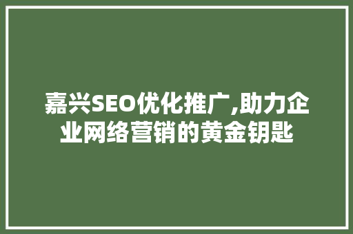 嘉兴SEO优化推广,助力企业网络营销的黄金钥匙  第1张