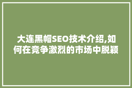 大连黑帽SEO技术介绍,如何在竞争激烈的市场中脱颖而出