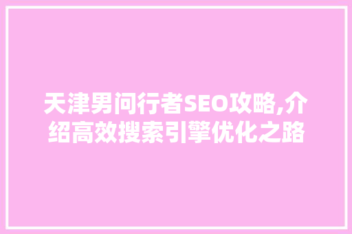 天津男问行者SEO攻略,介绍高效搜索引擎优化之路  第1张