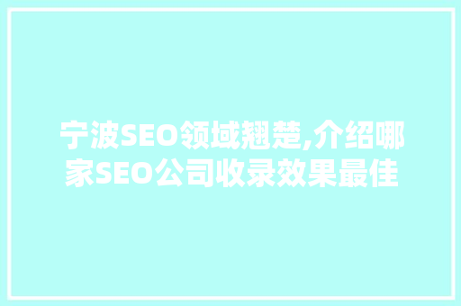 宁波SEO领域翘楚,介绍哪家SEO公司收录效果最佳  第1张