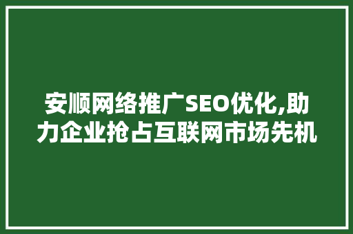 安顺网络推广SEO优化,助力企业抢占互联网市场先机