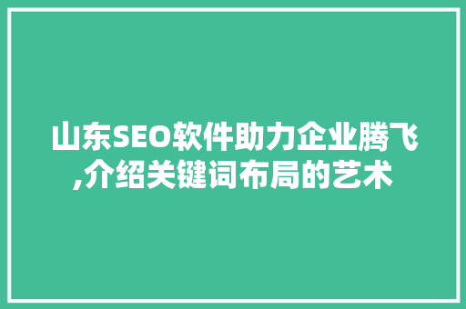 山东SEO软件助力企业腾飞,介绍关键词布局的艺术