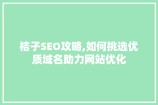 桔子SEO攻略,如何挑选优质域名助力网站优化